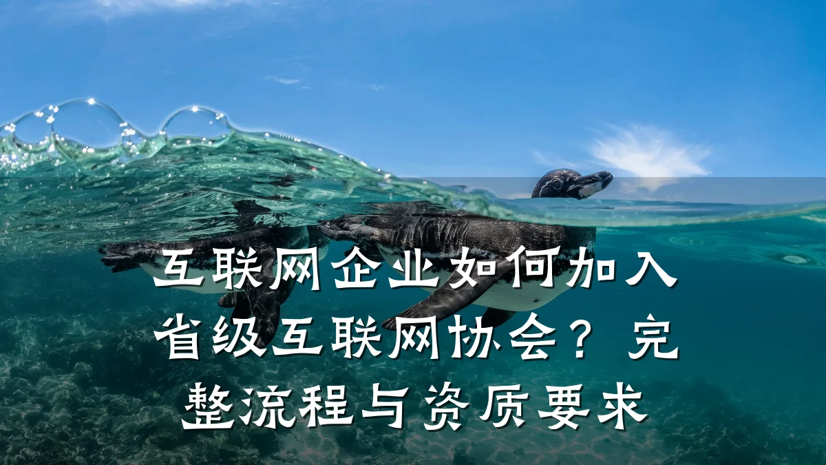 互联网企业如何加入省级互联网协会？完整流程与资质要求