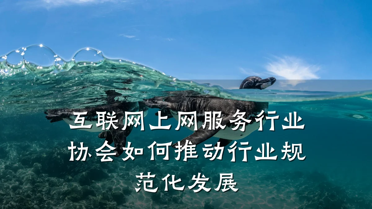 互联网上网服务行业协会如何推动行业规范化发展