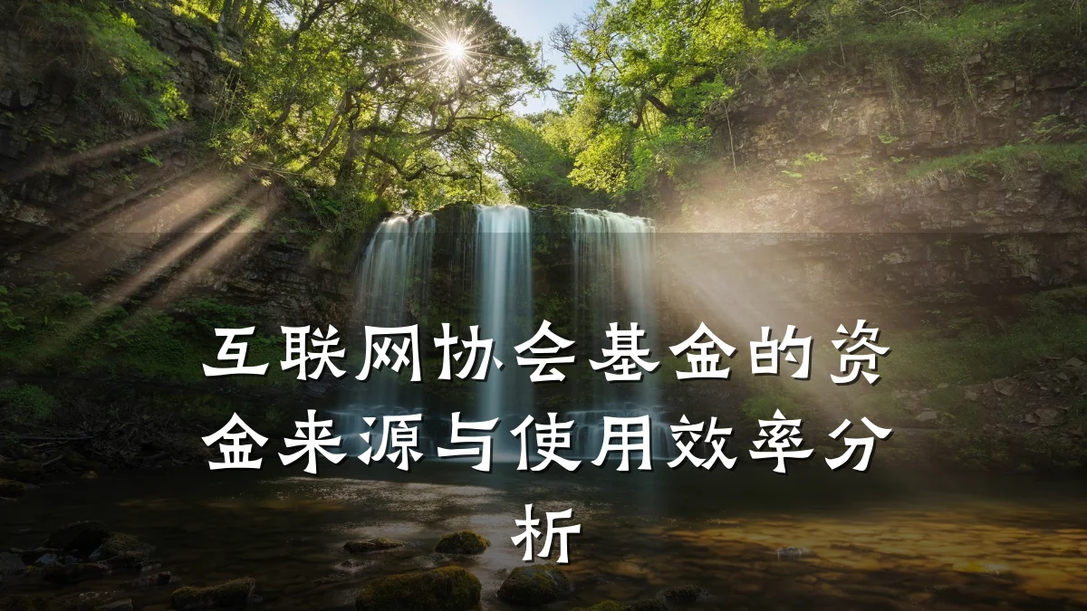 互联网协会基金的资金来源与使用效率分析