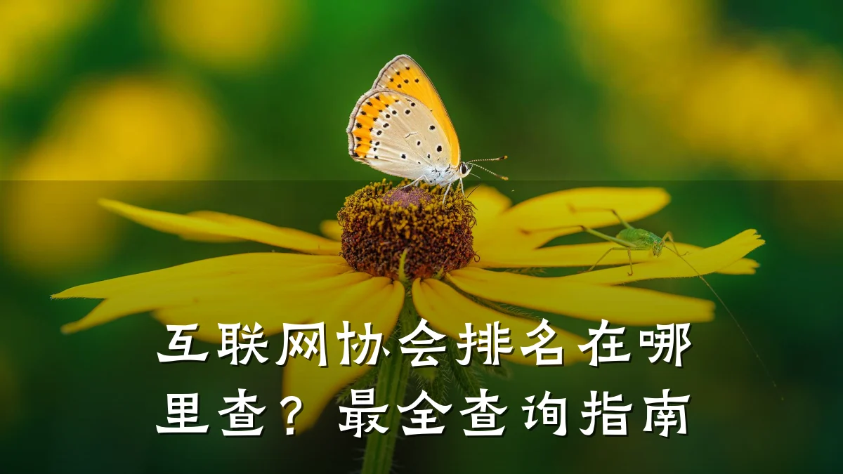互联网协会排名在哪里查？最全查询指南