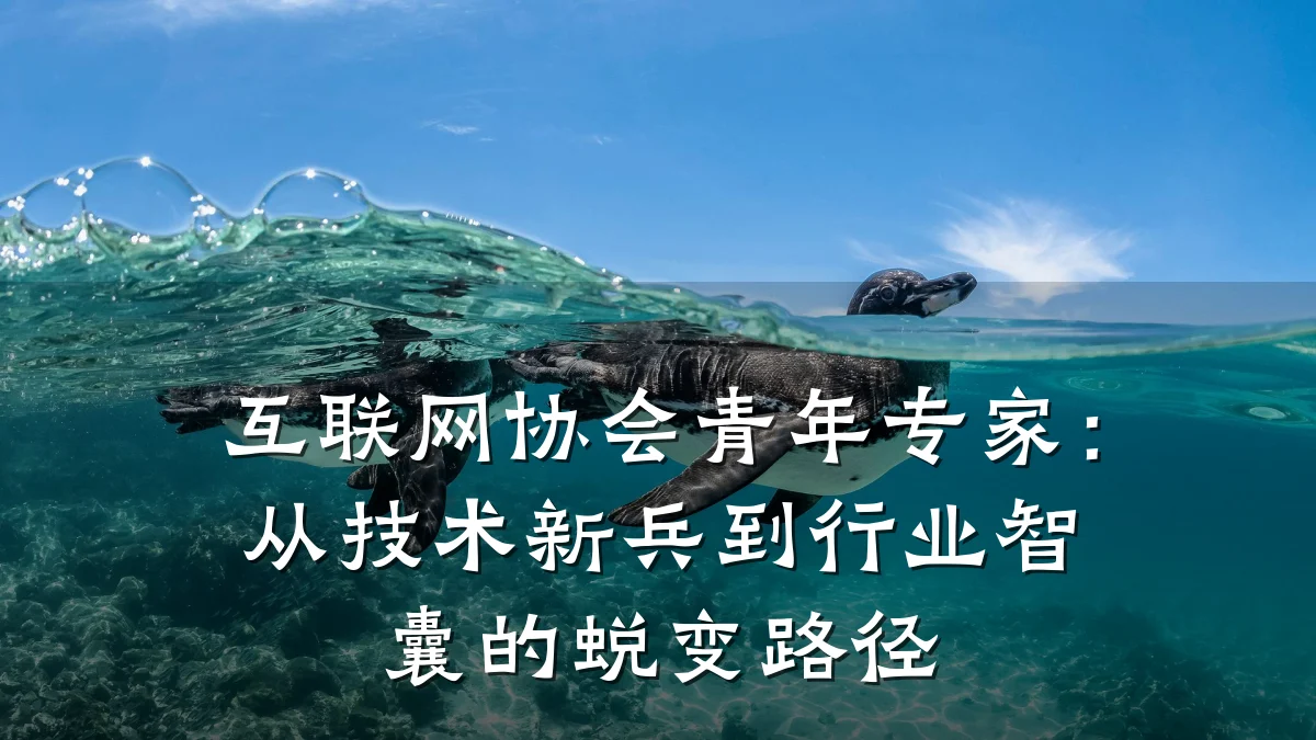 互联网协会青年专家：从技术新兵到行业智囊的蜕变路径