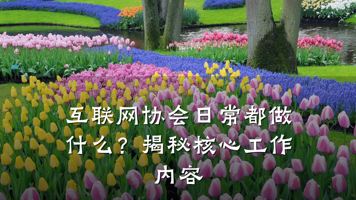互联网协会日常都做什么？揭秘核心工作内容