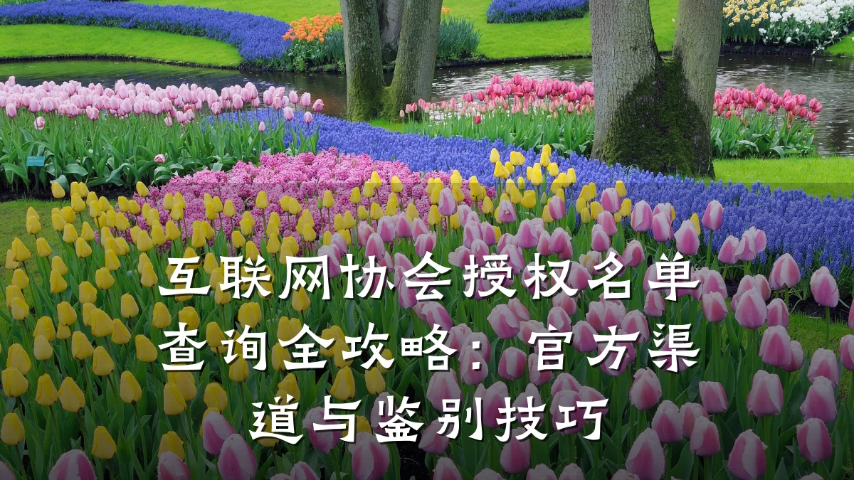 互联网协会授权名单查询全攻略：官方渠道与鉴别技巧