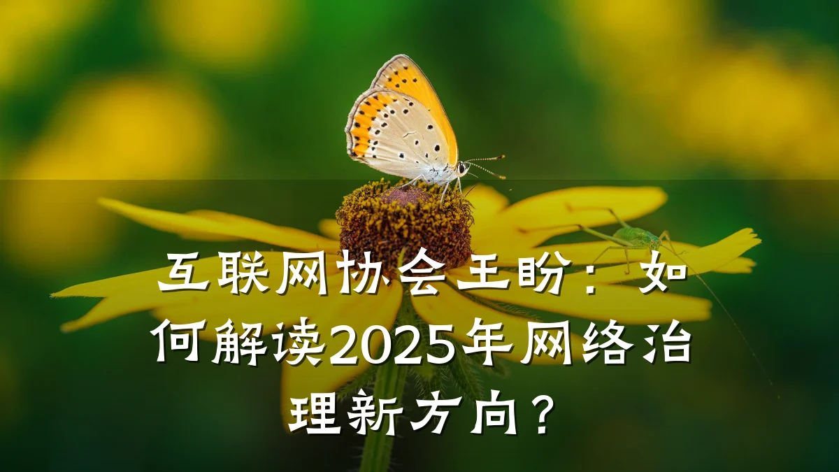 互联网协会王盼：如何解读2025年网络治理新方向？