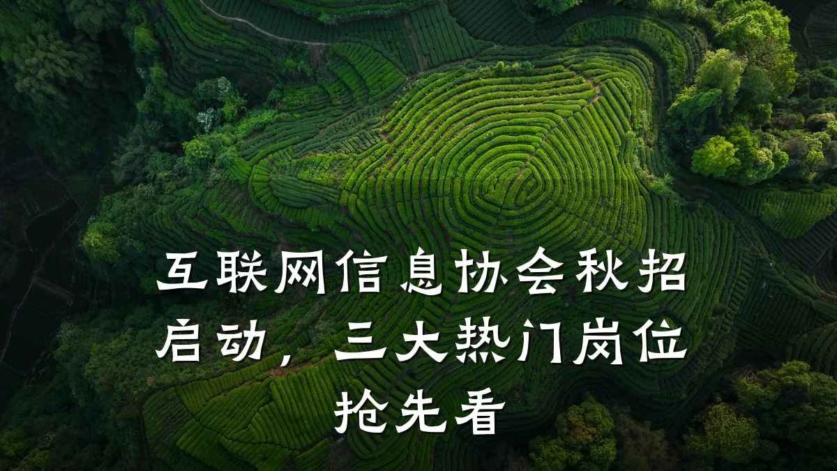 互联网信息协会秋招启动，三大热门岗位抢先看
