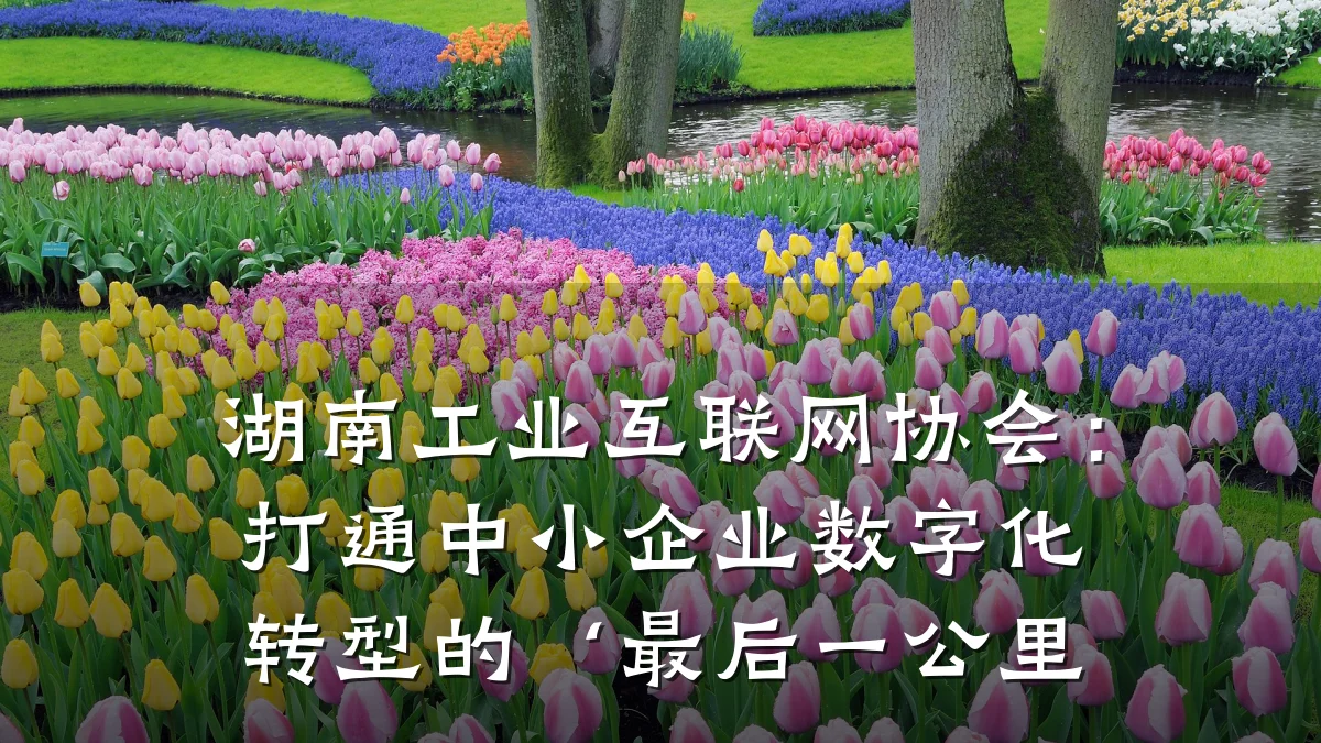 湖南工业互联网协会:打通中小企业数字化转型的‘最后一公里