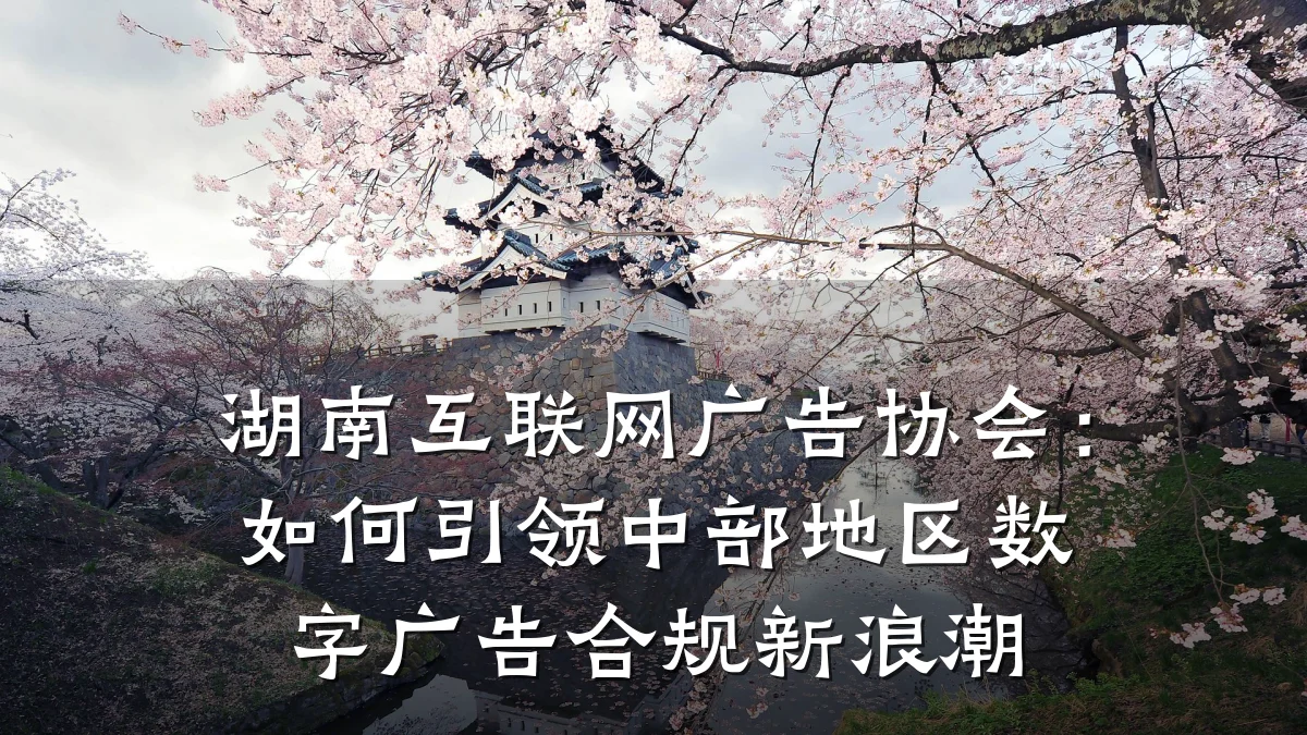 湖南互联网广告协会:如何引领中部地区数字广告合规新浪潮