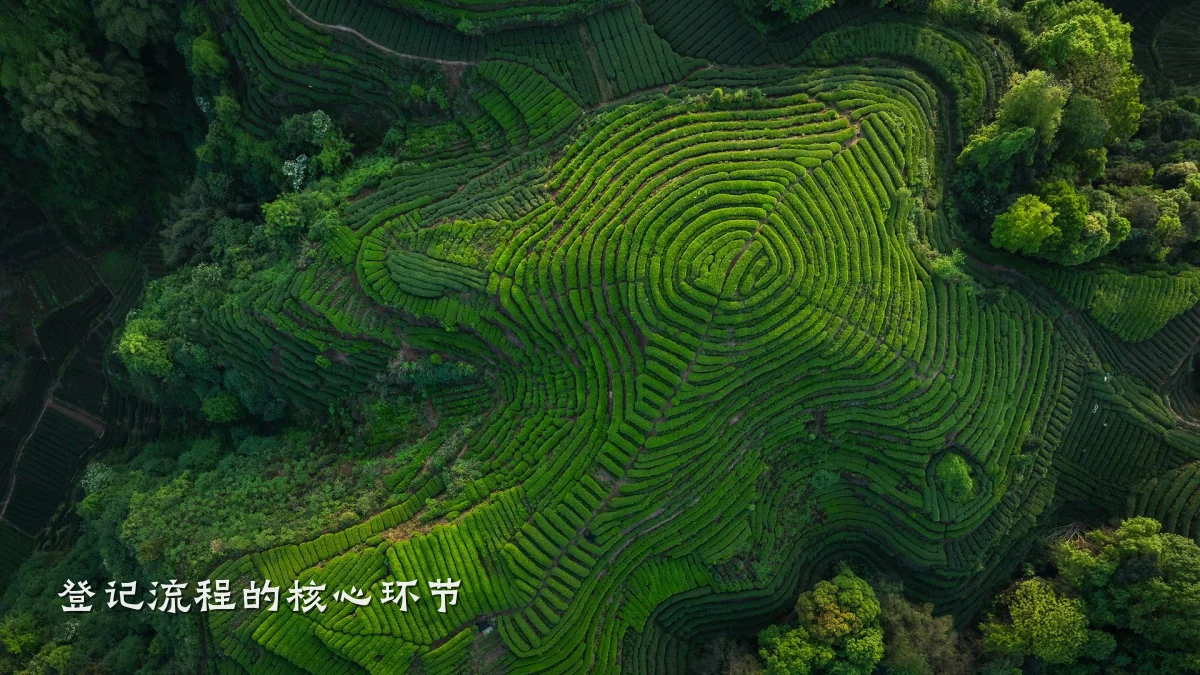 登记流程的核心环节