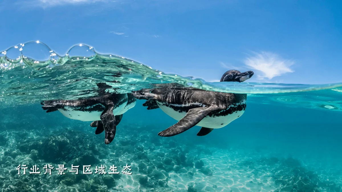 行业背景与区域生态