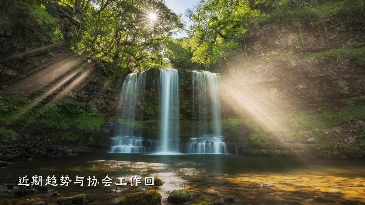 近期趋势与协会工作回