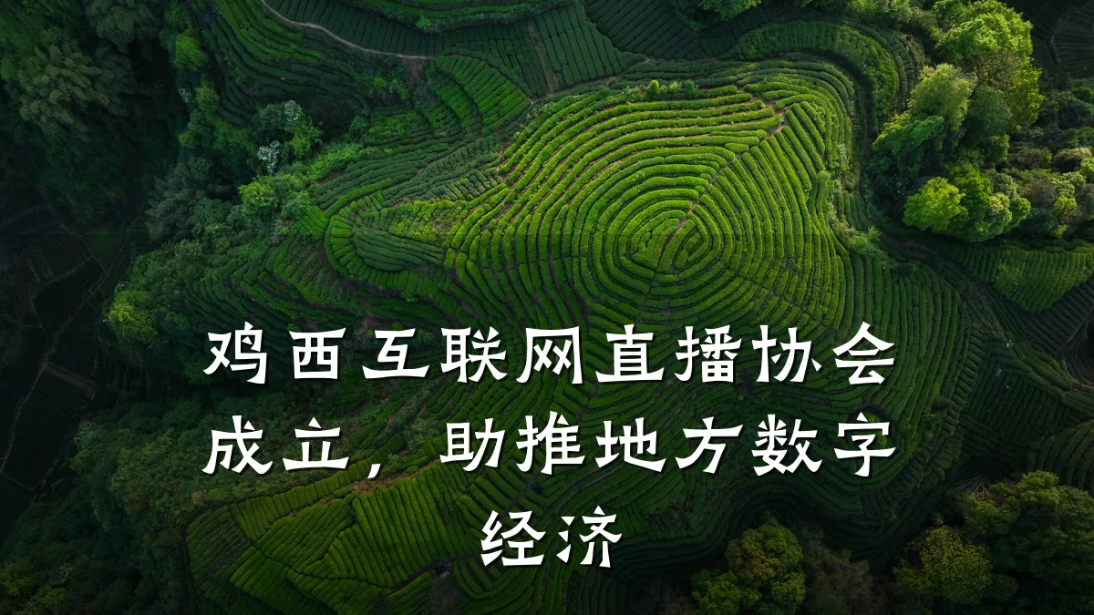 鸡西互联网直播协会成立，助推地方数字经济