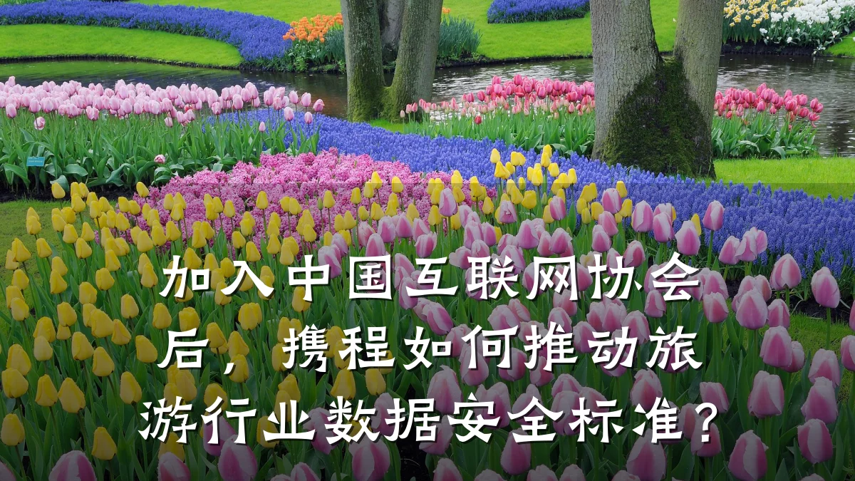 加入中国互联网协会后，携程如何推动旅游行业数据安全标准？