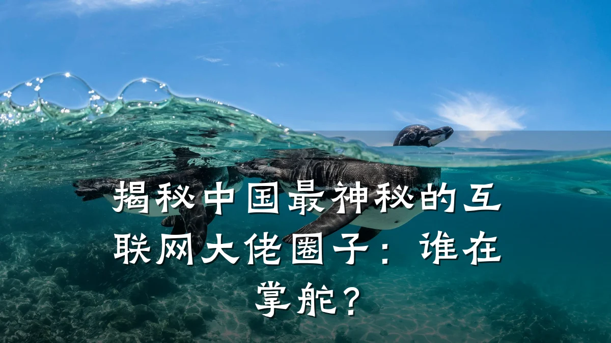 揭秘中国最神秘的互联网大佬圈子：谁在掌舵？