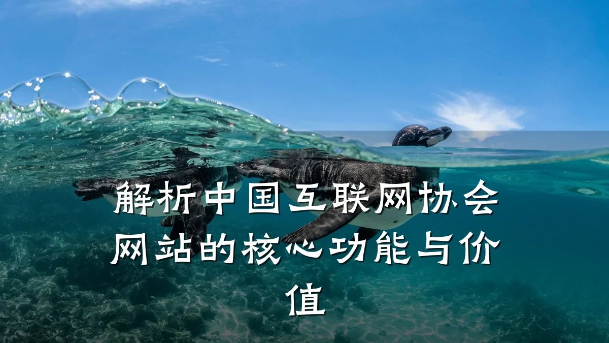 解析中国互联网协会网站的核心功能与价值