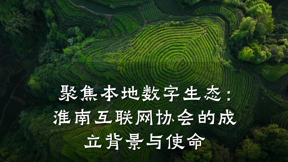 聚焦本地数字生态:淮南互联网协会的成立背景与使命