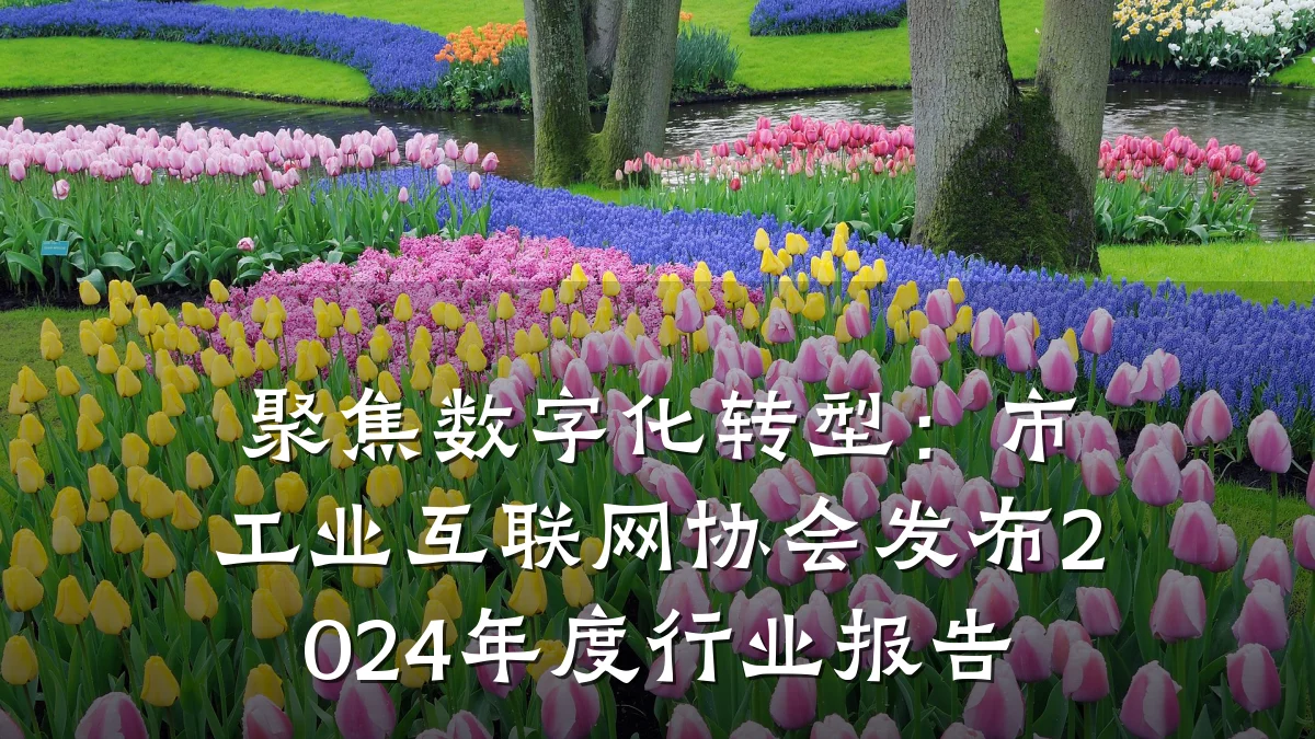 聚焦数字化转型：市工业互联网协会发布2024年度行业报告