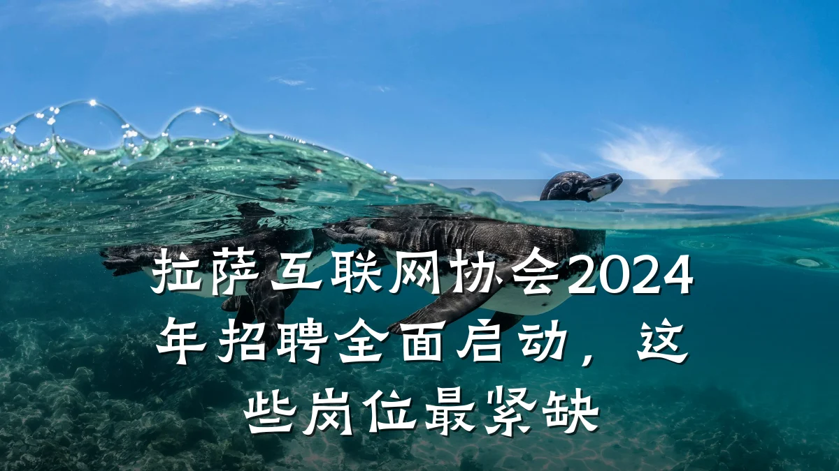 拉萨互联网协会2024年招聘全面启动，这些岗位最紧缺