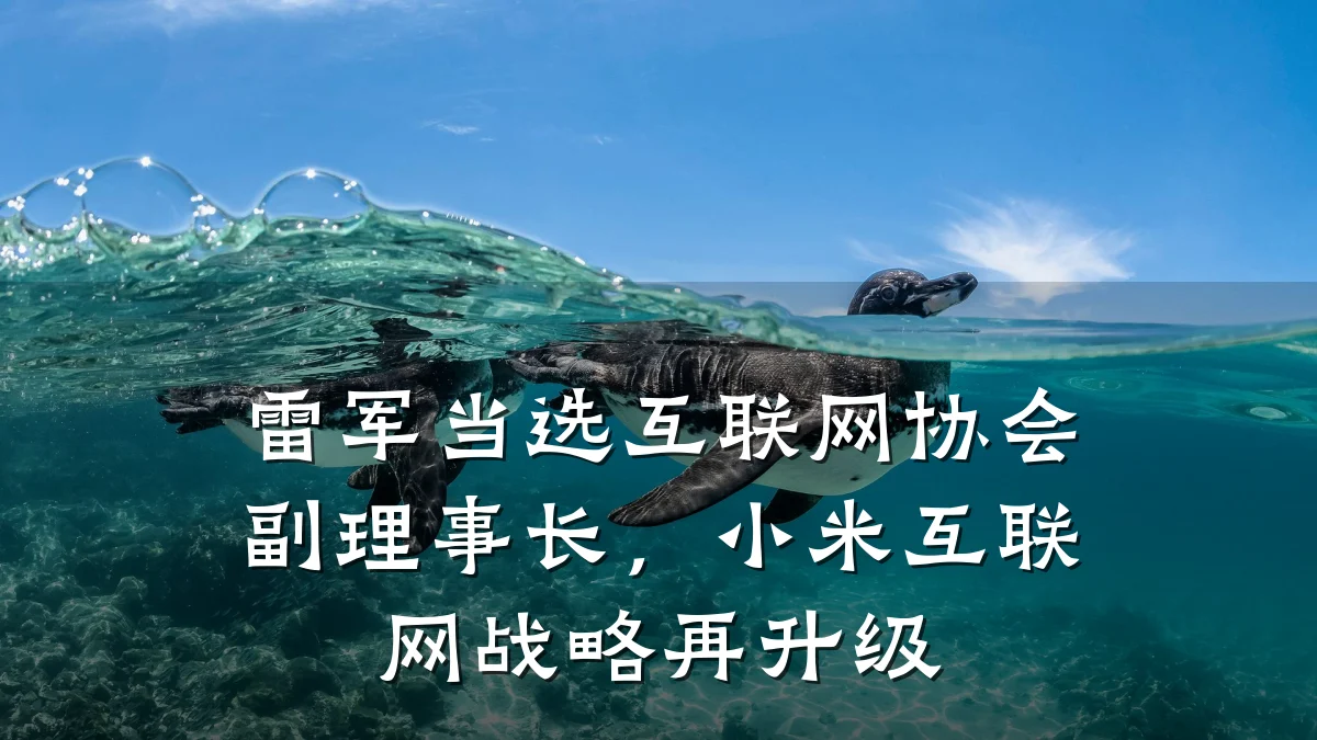 雷军当选互联网协会副理事长，小米互联网战略再升级