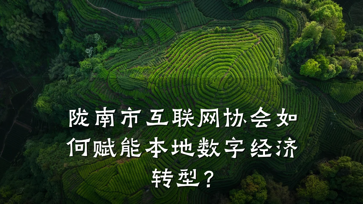 陇南市互联网协会如何赋能本地数字经济转型？