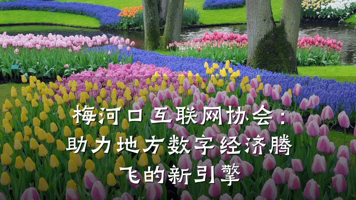 梅河口互联网协会：助力地方数字经济腾飞的新引擎
