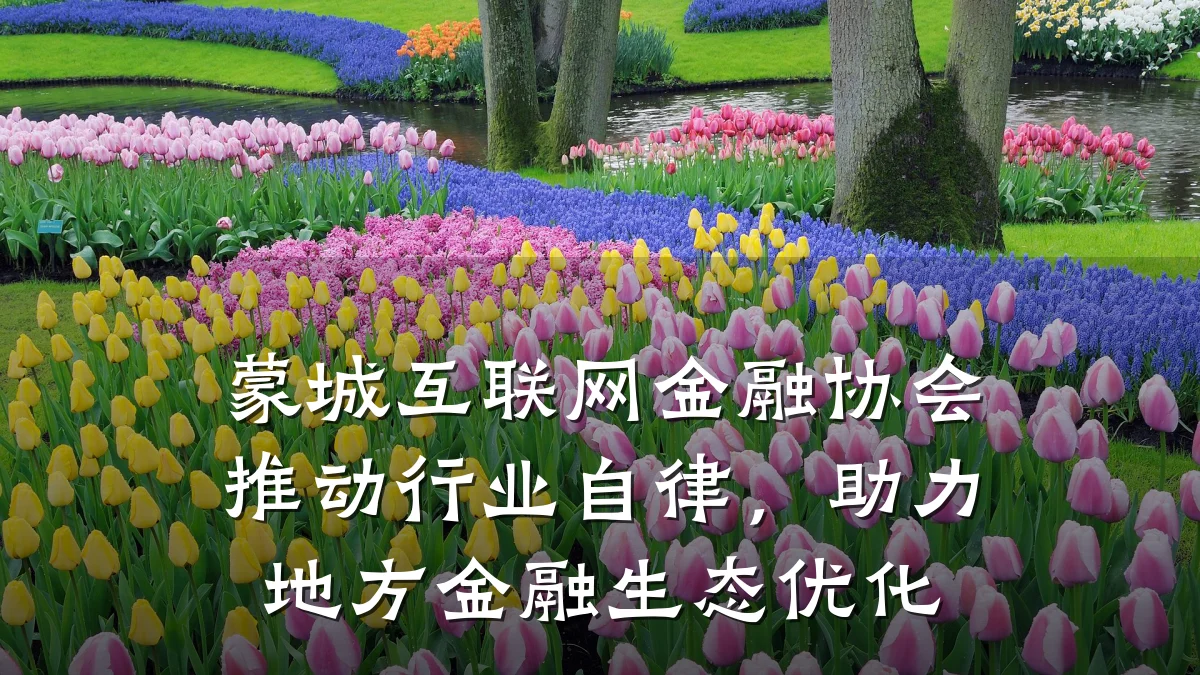 蒙城互联网金融协会推动行业自律，助力地方金融生态优化