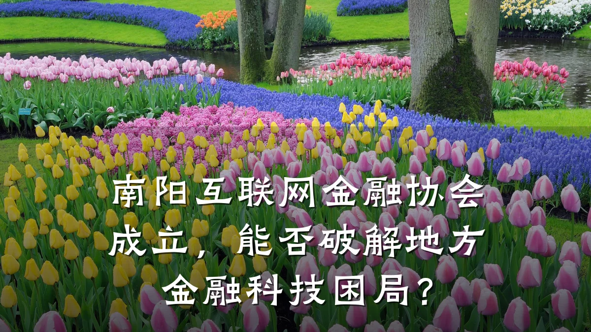 南阳互联网金融协会成立,能否破解地方金融科技困局?