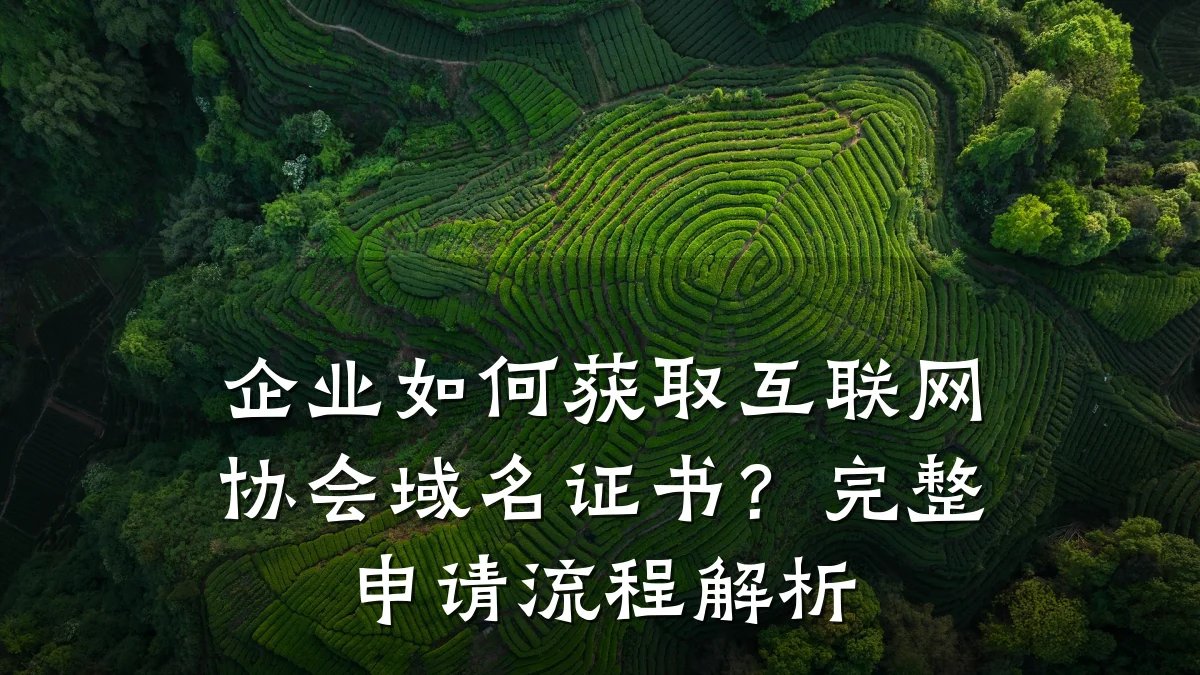 企业如何获取互联网协会域名证书？完整申请流程解析
