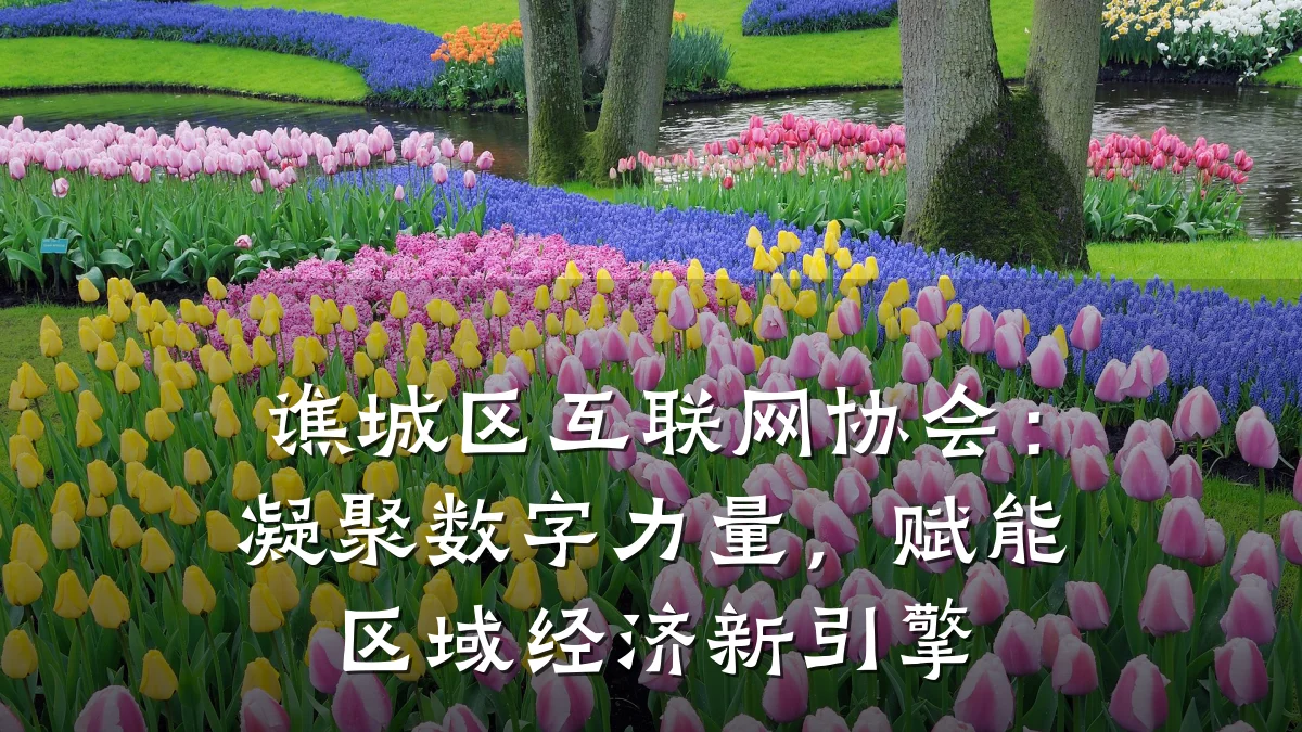 谯城区互联网协会：凝聚数字力量，赋能区域经济新引擎