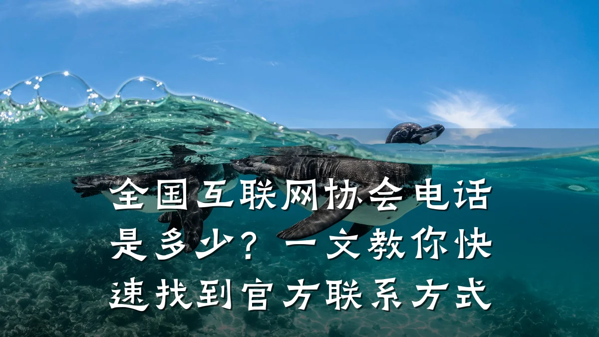 全国互联网协会电话是多少？一文教你快速找到官方联系方式