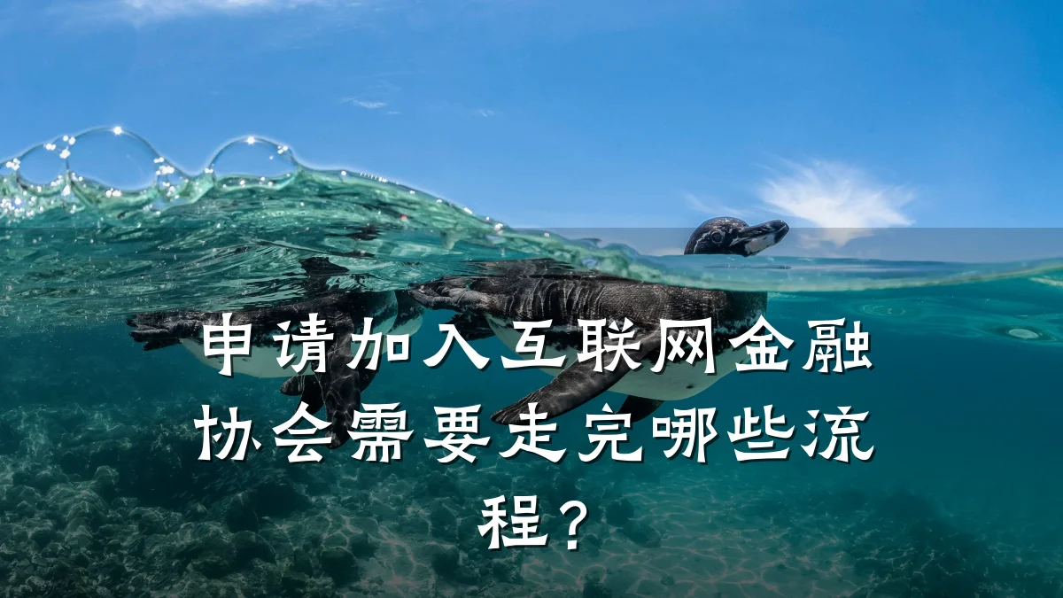 申请加入互联网金融协会需要走完哪些流程？