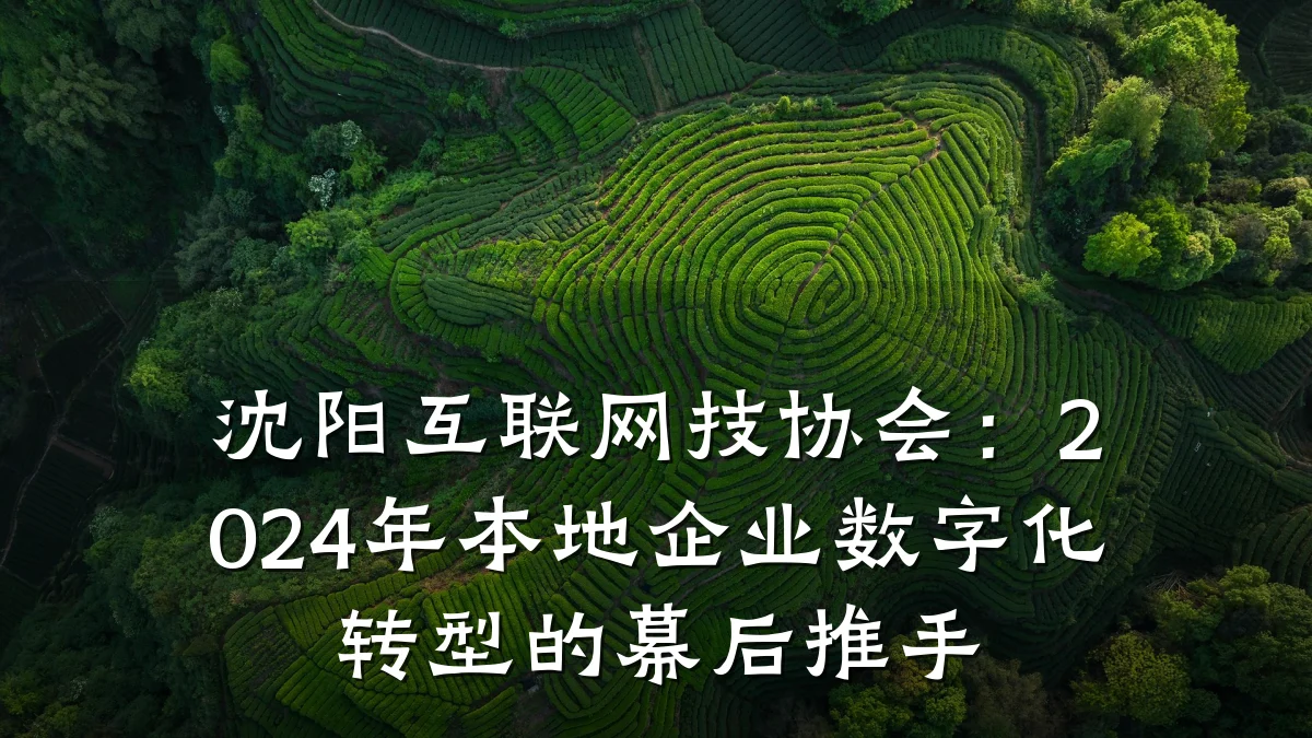 沈阳互联网技协会:2024年本地企业数字化转型的幕后推手