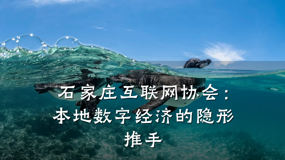 石家庄互联网协会：本地数字经济的隐形推手