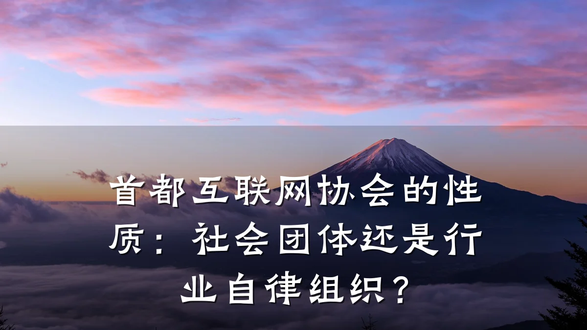 首都互联网协会的性质：社会团体还是行业自律组织？