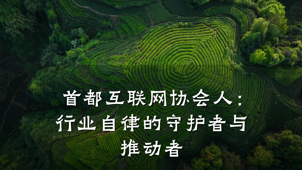 首都互联网协会人：行业自律的守护者与推动者