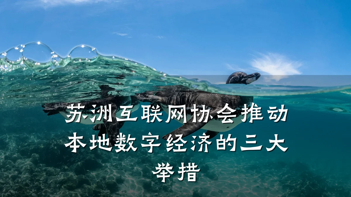 苏洲互联网协会推动本地数字经济的三大举措