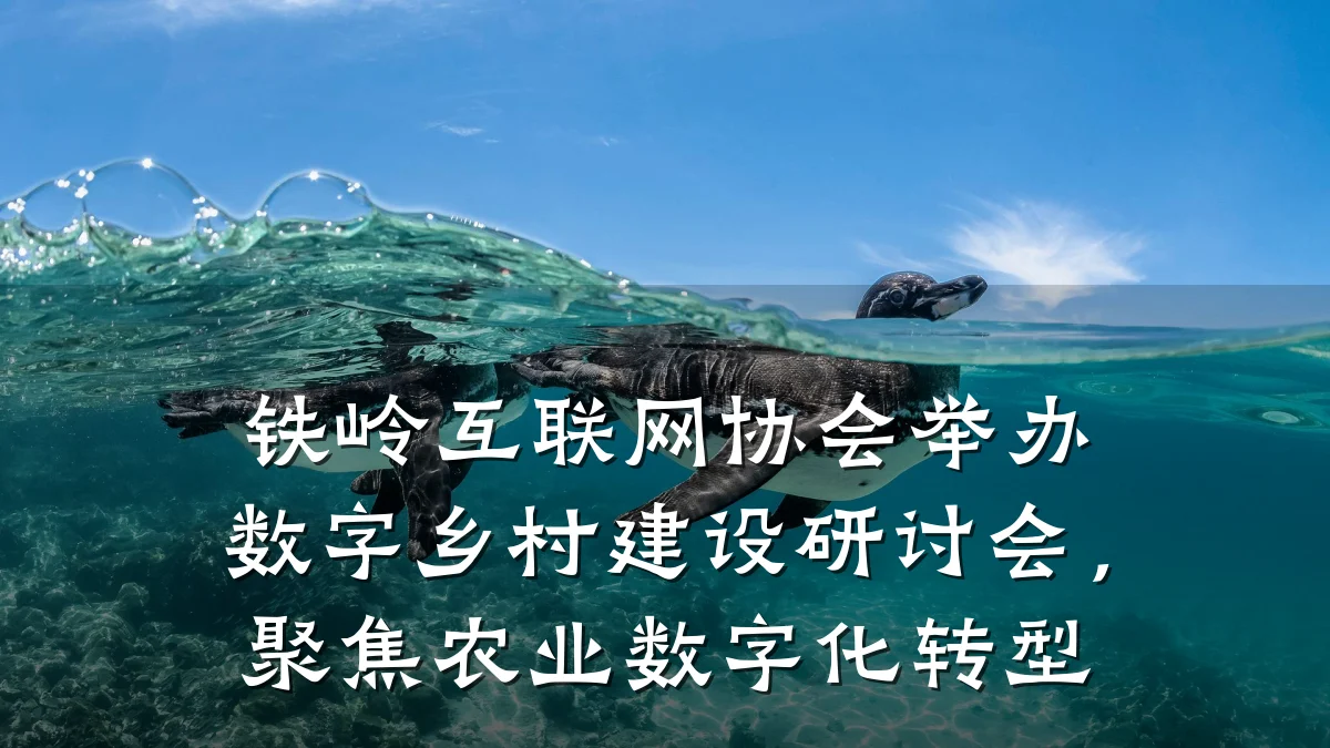铁岭互联网协会举办数字乡村建设研讨会，聚焦农业数字化转型