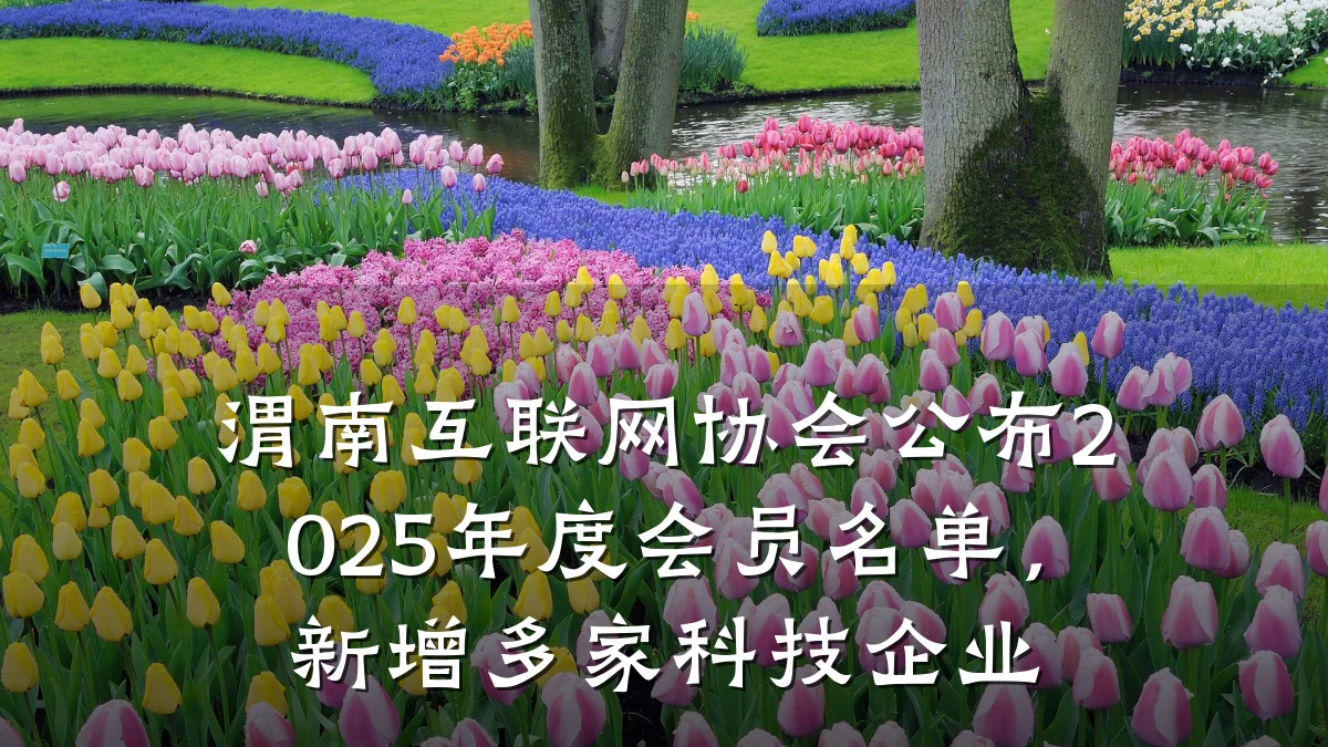 渭南互联网协会公布2025年度会员名单，新增多家科技企业