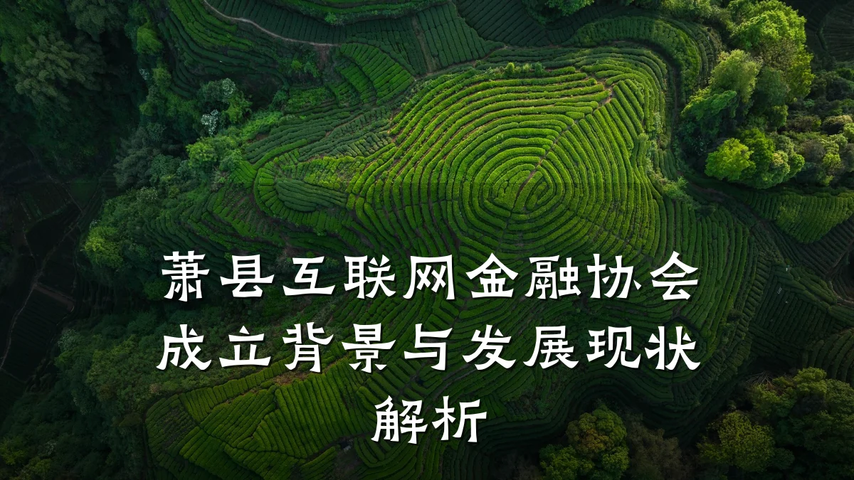 萧县互联网金融协会成立背景与发展现状解析