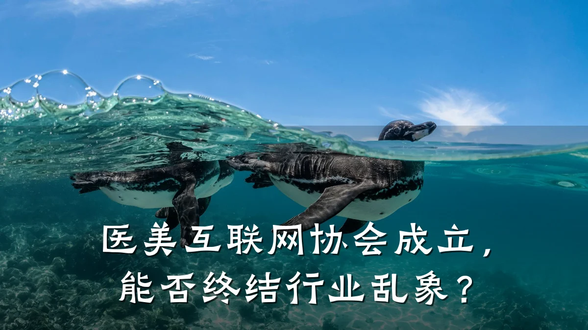 医美互联网协会成立，能否终结行业乱象？