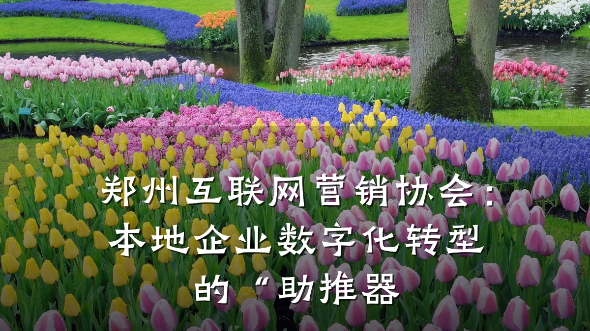 郑州互联网营销协会:本地企业数字化转型的“助推器