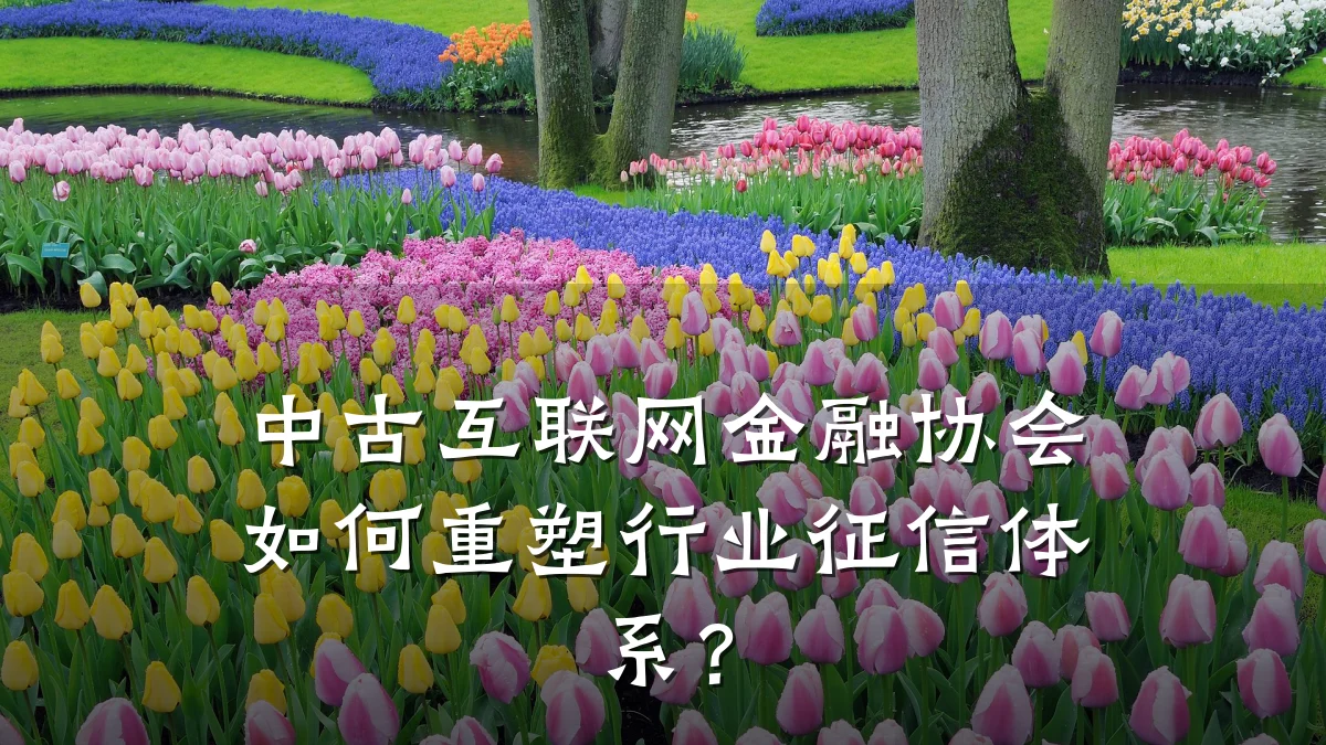 中古互联网金融协会如何重塑行业征信体系？