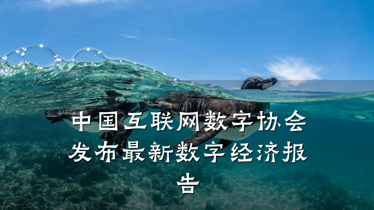 中国互联网数字协会发布最新数字经济报告