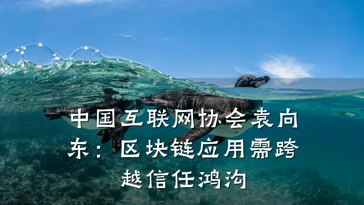 中国互联网协会袁向东：区块链应用需跨越信任鸿沟