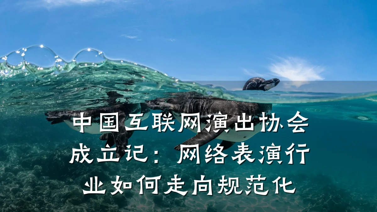 中国互联网演出协会成立记：网络表演行业如何走向规范化