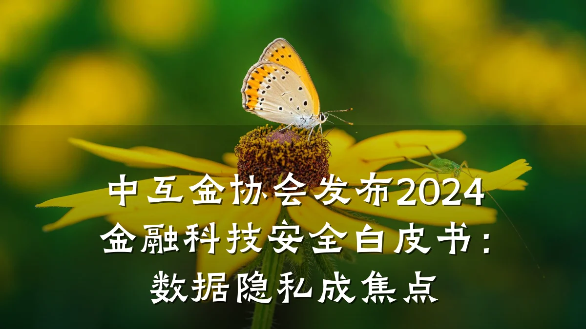 中互金协会发布2024金融科技安全白皮书：数据隐私成焦点