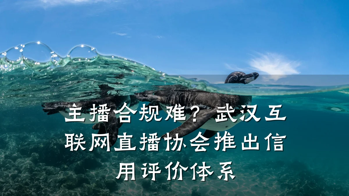 主播合规难？武汉互联网直播协会推出信用评价体系