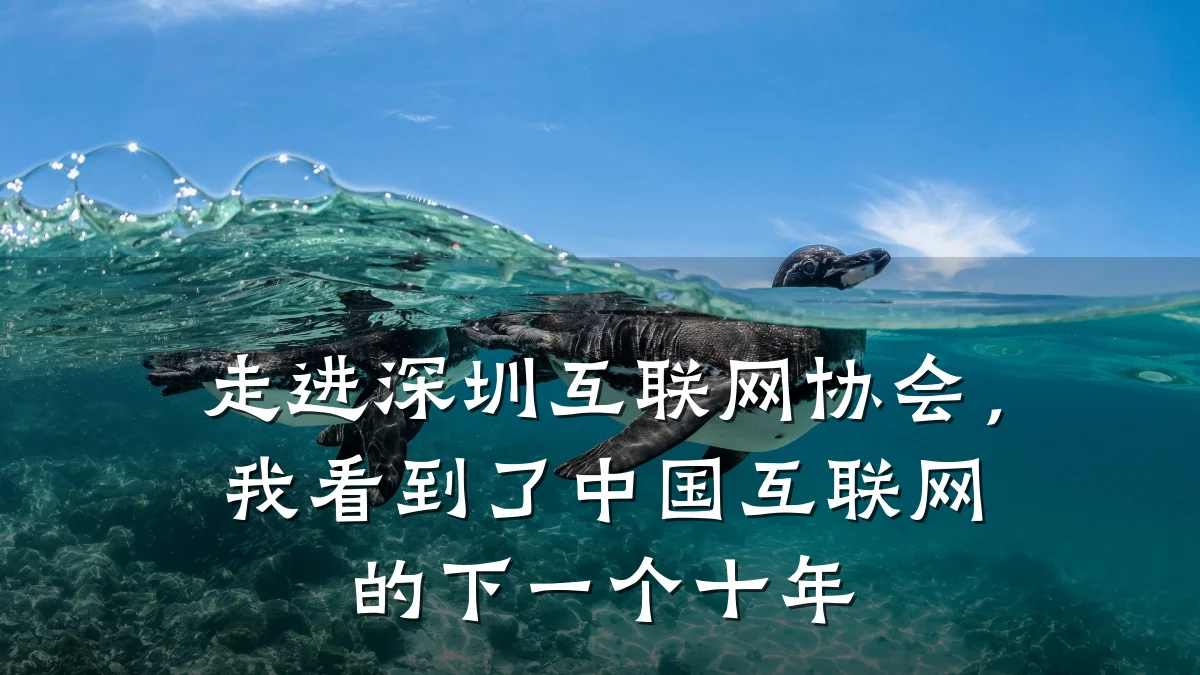 走进深圳互联网协会，我看到了中国互联网的下一个十年
