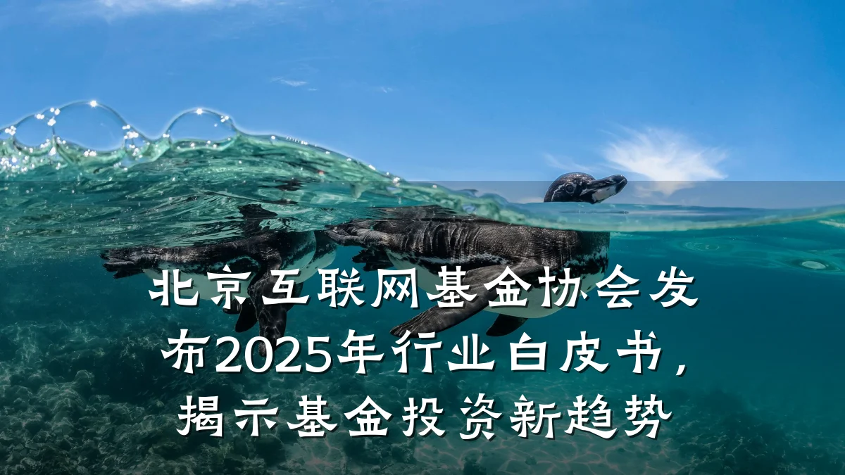北京互联网基金协会发布2025年行业白皮书,揭示基金投资新趋势