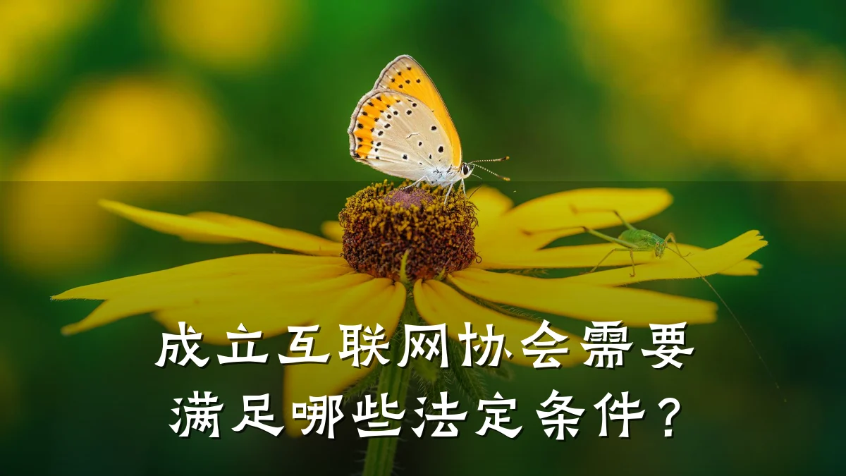 成立互联网协会需要满足哪些法定条件？