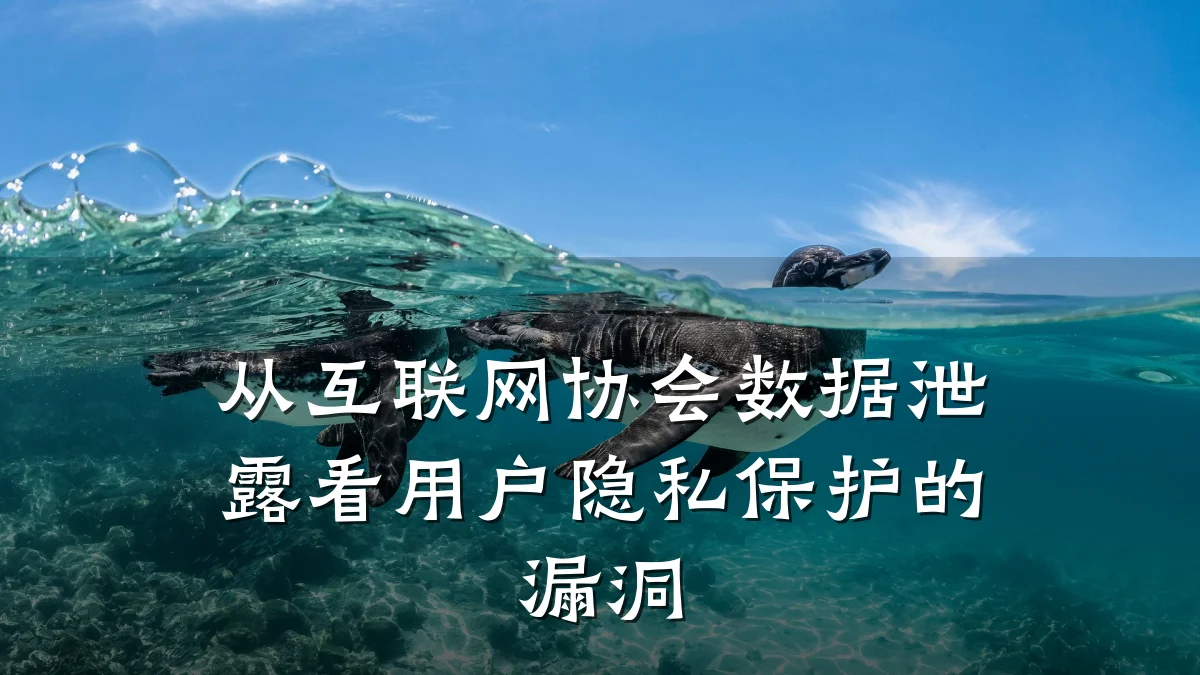 从互联网协会数据泄露看用户隐私保护的漏洞